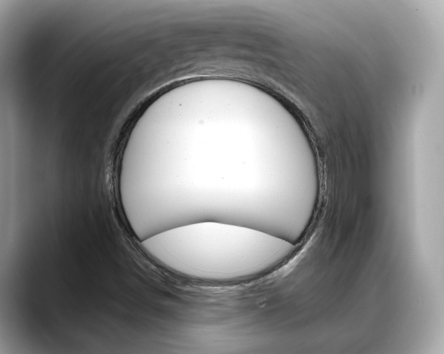 X0000088701498200705311006
