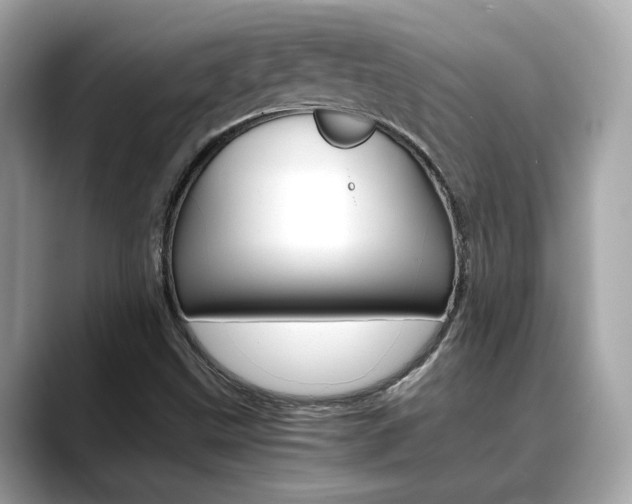 X0000088701499200705311006