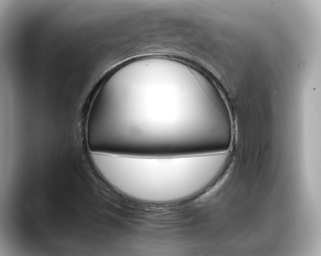 X0000088701501200705311006