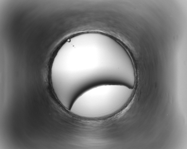 X0000088701502200705311006