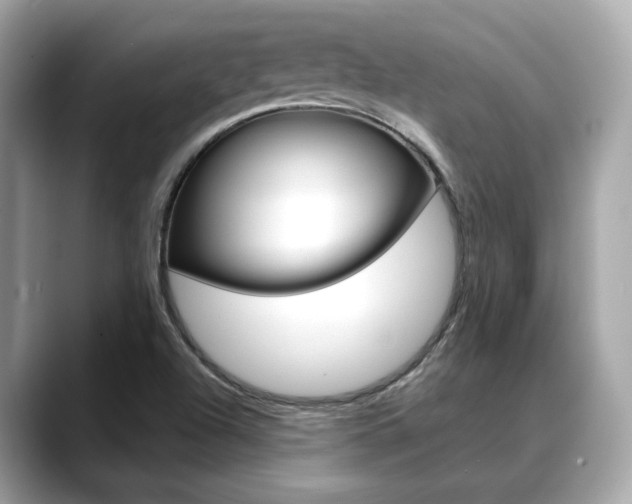 X0000088701504200705311006