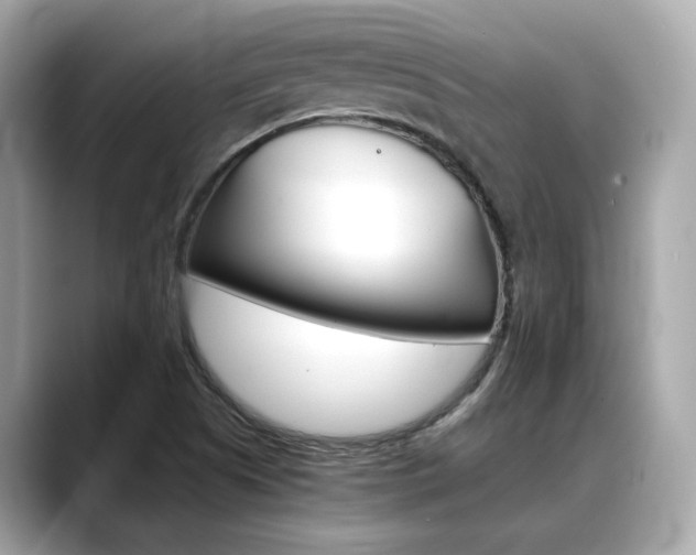 X0000088701505200705311006