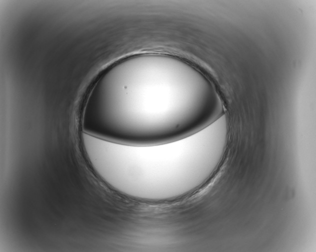 X0000088701506200705311006