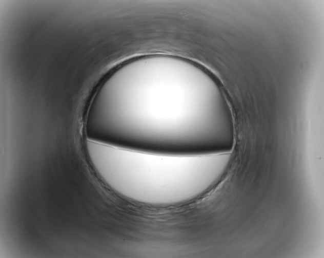 X0000088701507200705311006
