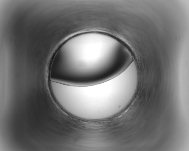 X0000088701508200705311006