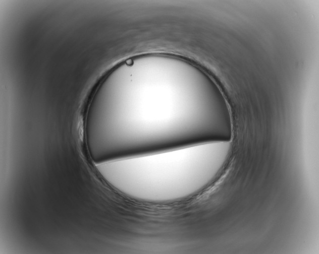 X0000088701509200705311006
