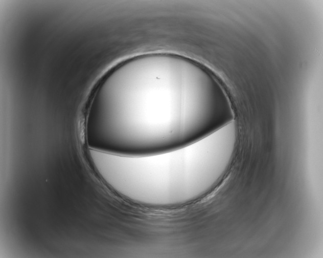 X0000088701510200705311007