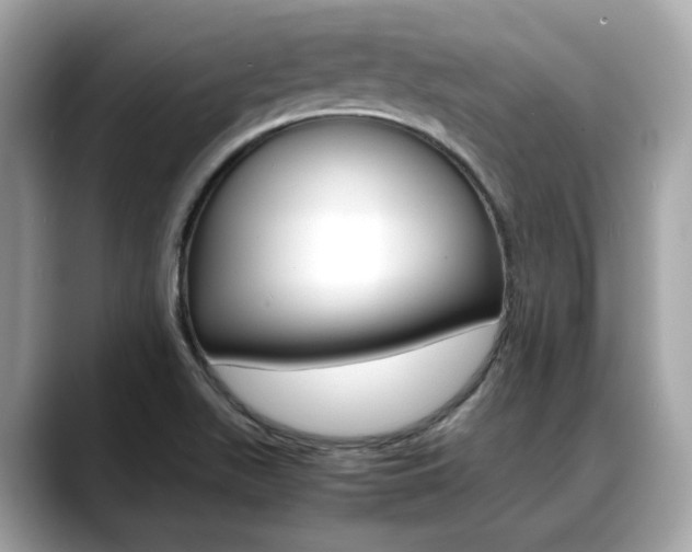 X0000088701511200705311007