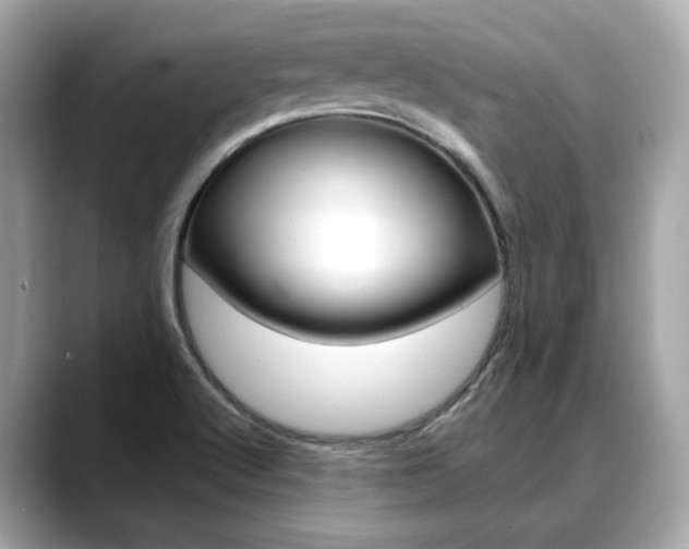 X0000088701512200705311007