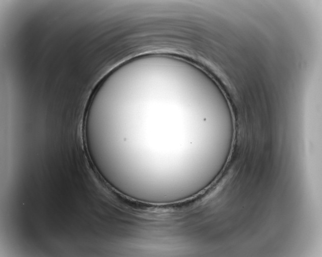 X0000088701513200705311007