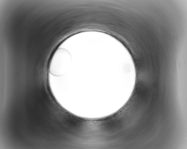 X0000088701514200705311007
