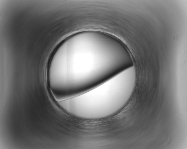 X0000088701515200705311007