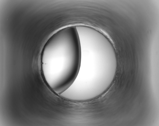 X0000088701516200705311007