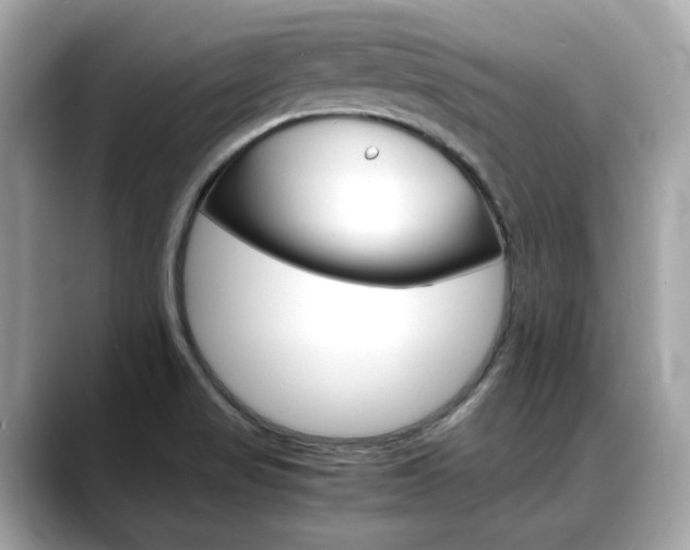 X0000088701517200705311007
