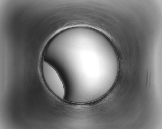 X0000088701518200705311007