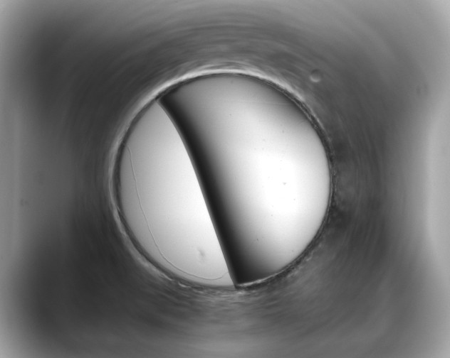 X0000088701519200705311007