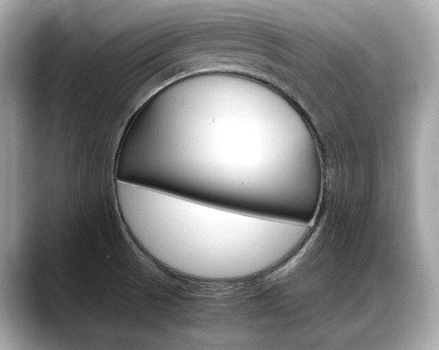 X0000088701521200705311007