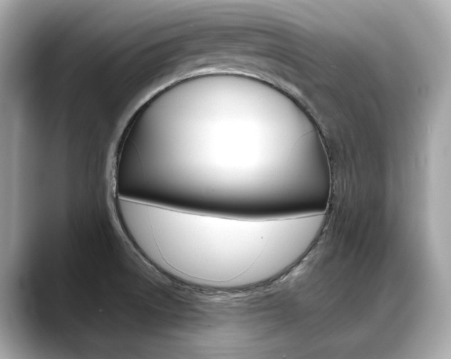 X0000088701522200705311007