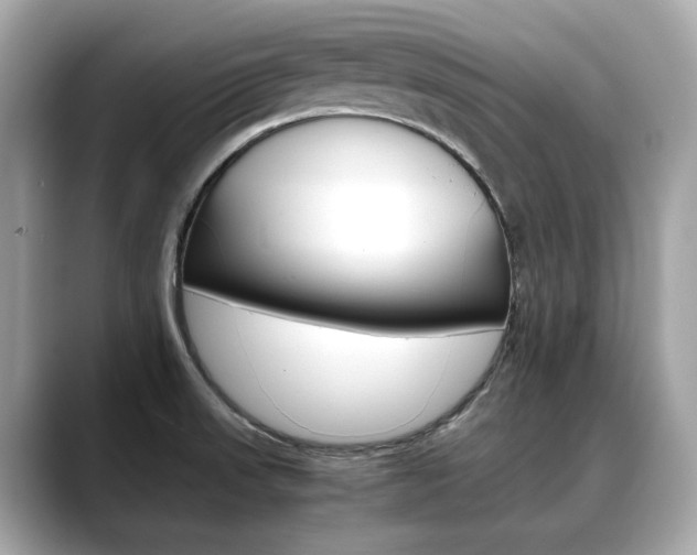 X0000088701523200705311007