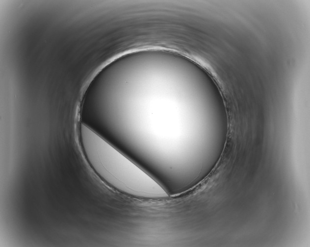 X0000088701524200705311007