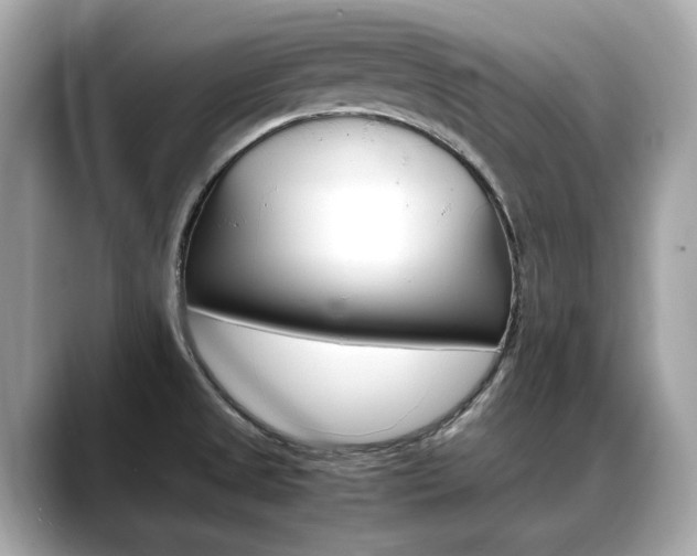 X0000088701525200705311007