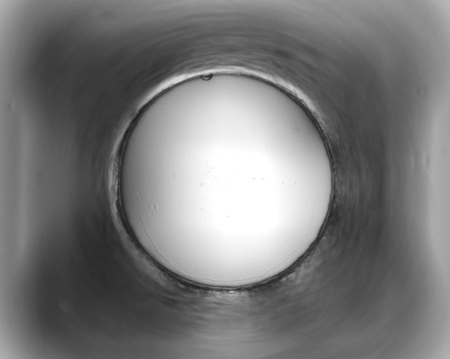 X0000088701526200705311007