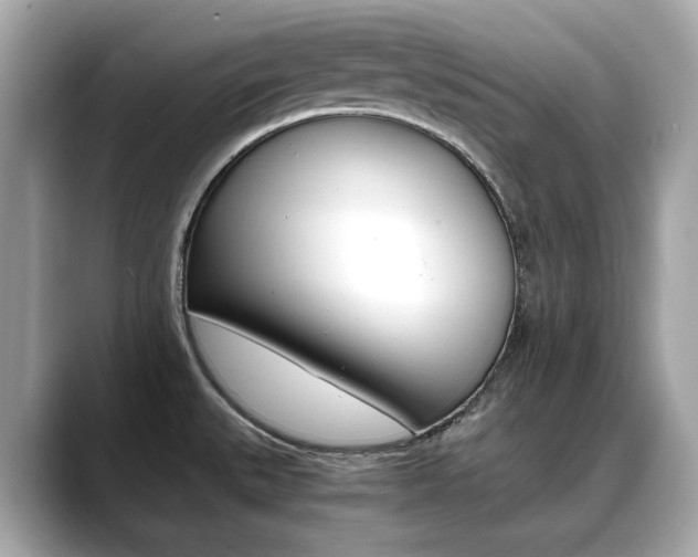 X0000088701527200705311007