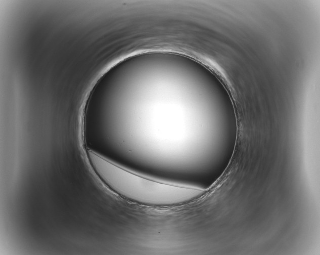 X0000088701528200705311007
