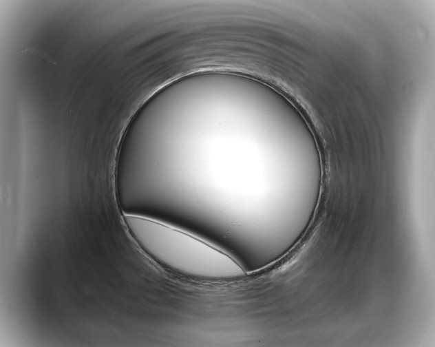 X0000088701529200705311007