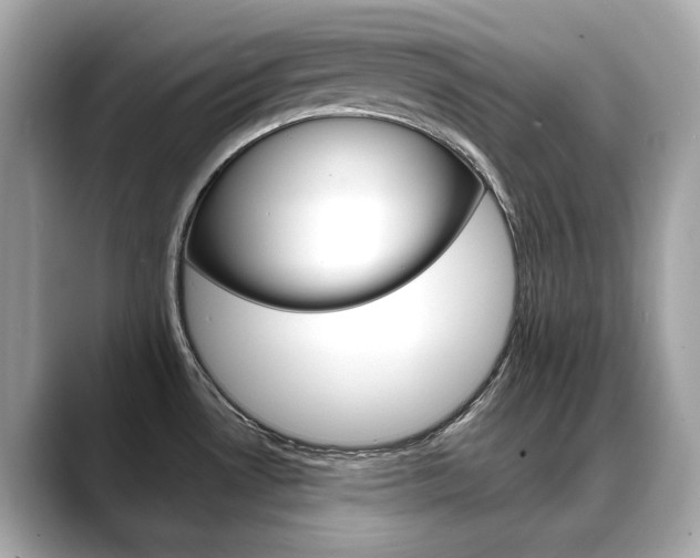 X0000088701530200705311007