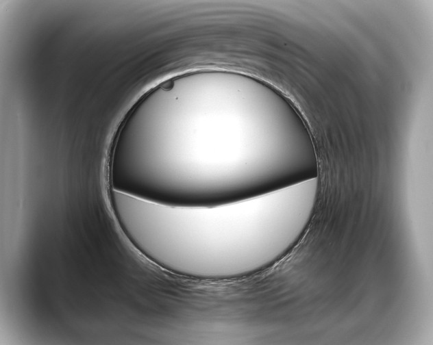 X0000088701531200705311007