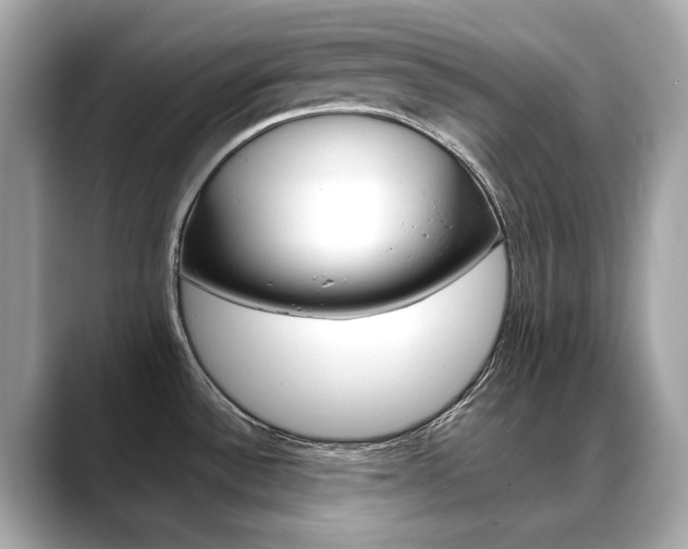 X0000088701532200705311007