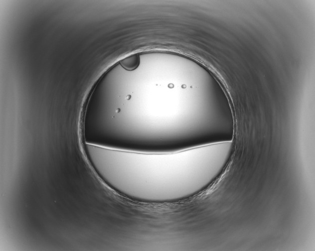 X0000088701533200705311007