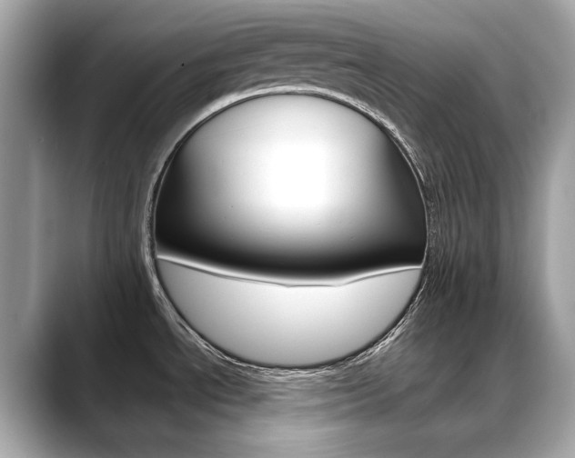 X0000088701534200705311007