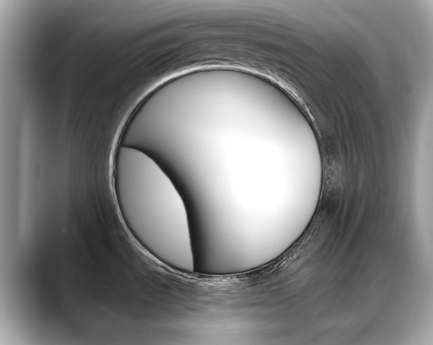 X0000088701535200705311007