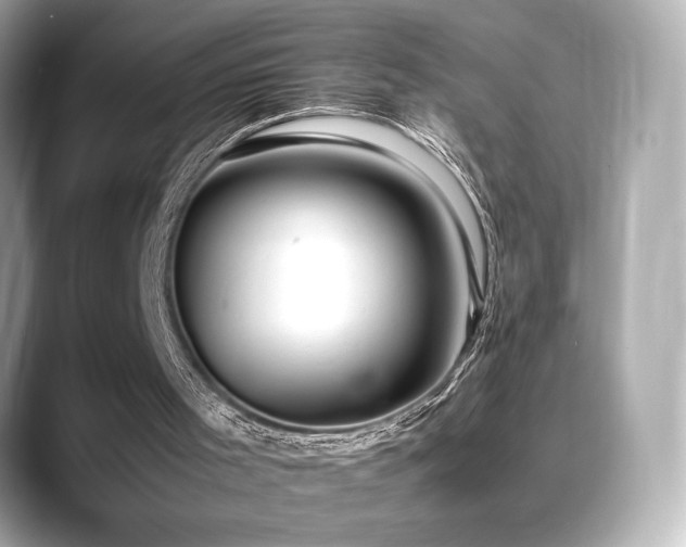 X0000088700001200705311223