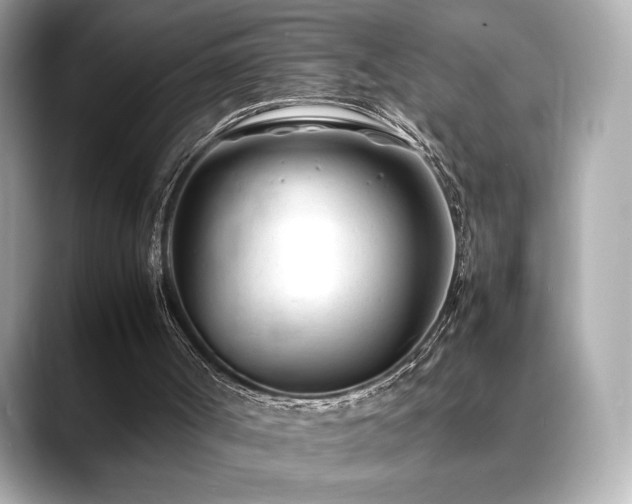 X0000088700002200705311223