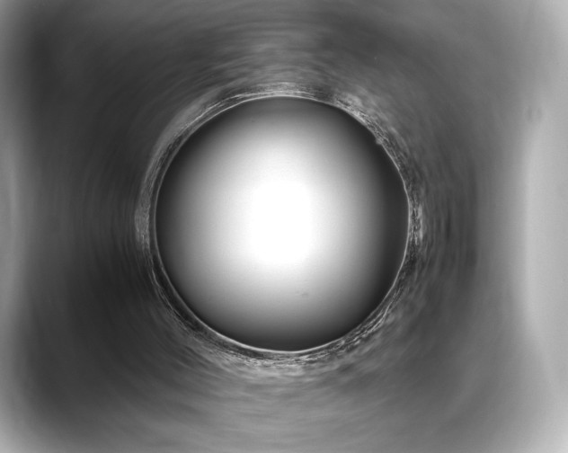 X0000088700004200705311223