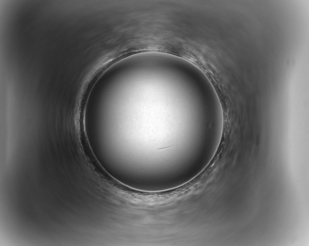 X0000088700006200705311223