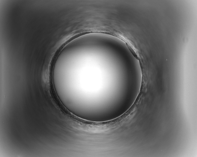 X0000088700008200705311223