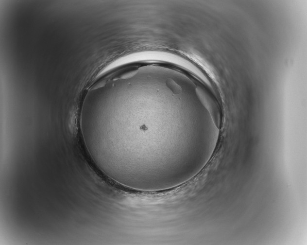 X0000088700009200705311223