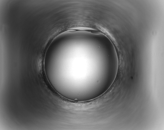X0000088700010200705311223