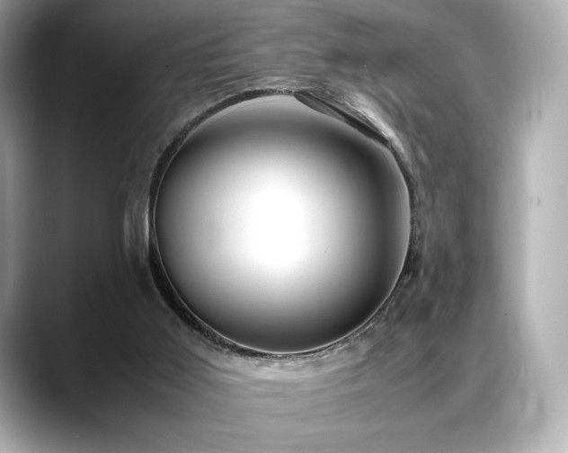 X0000088700011200705311223
