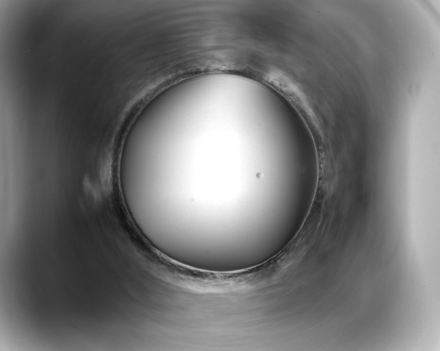 X0000088700012200705311223