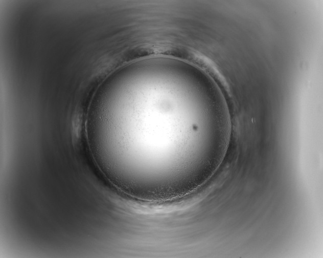 X0000088700018200705311223