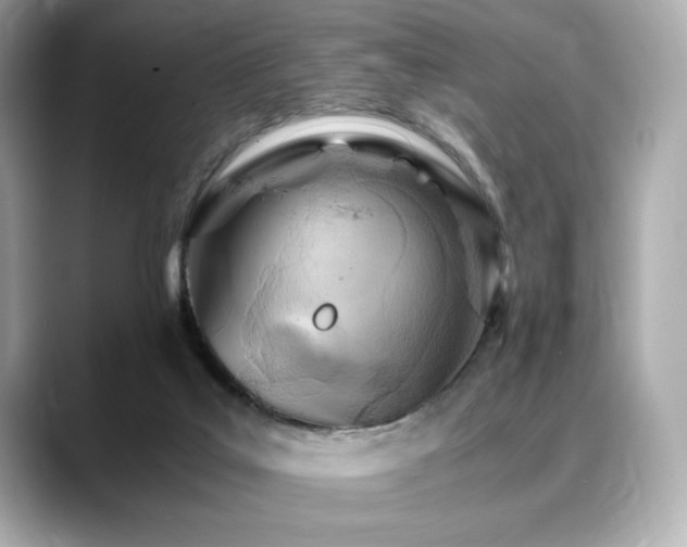 X0000088700019200705311223
