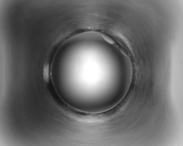 X0000088700020200705311223