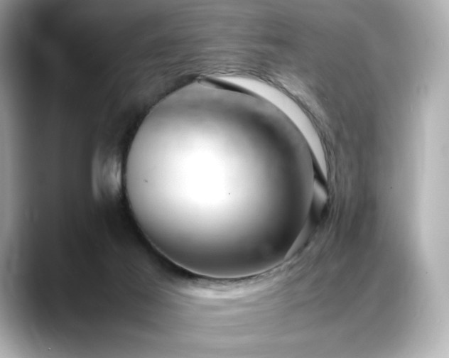 X0000088700021200705311223