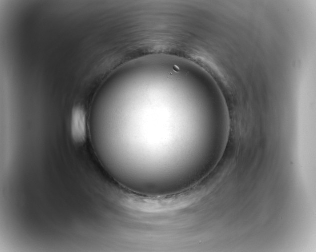 X0000088700022200705311223