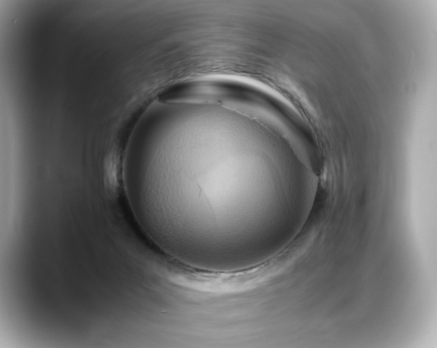 X0000088700023200705311223